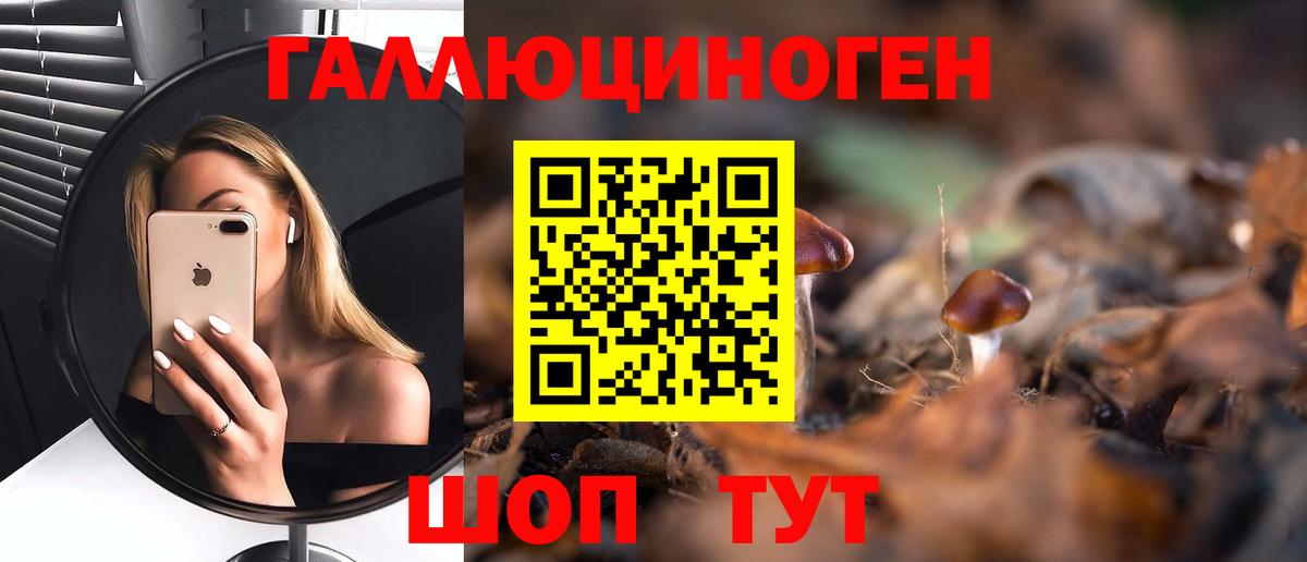 Галлюциногенные грибы GOLDEN TEACHER  Галлюциногенные грибы Psilocybine cubensis  Вход с VPN  Пугачёв 
